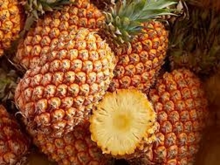 Conab inclui abacaxi, banana, castanha de caju, feijão e manga na lista de bônus do PGPAF