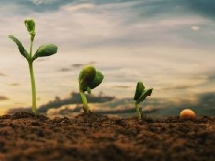 Bioinsumos são aliados diante da instabilidade no mercado de fertilizantes