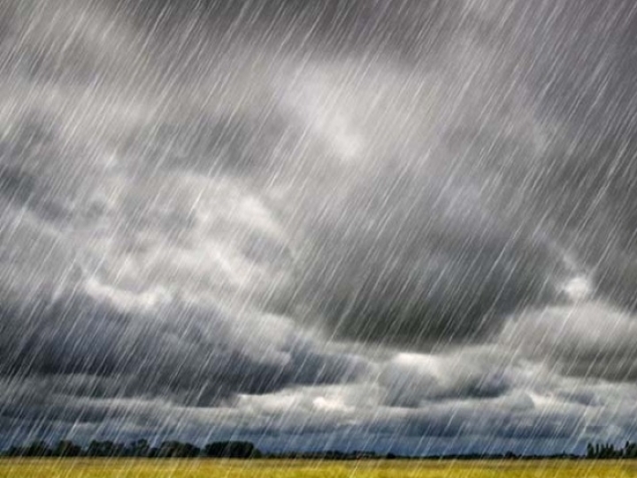 Incidência de chuva favorece cultivos de verão