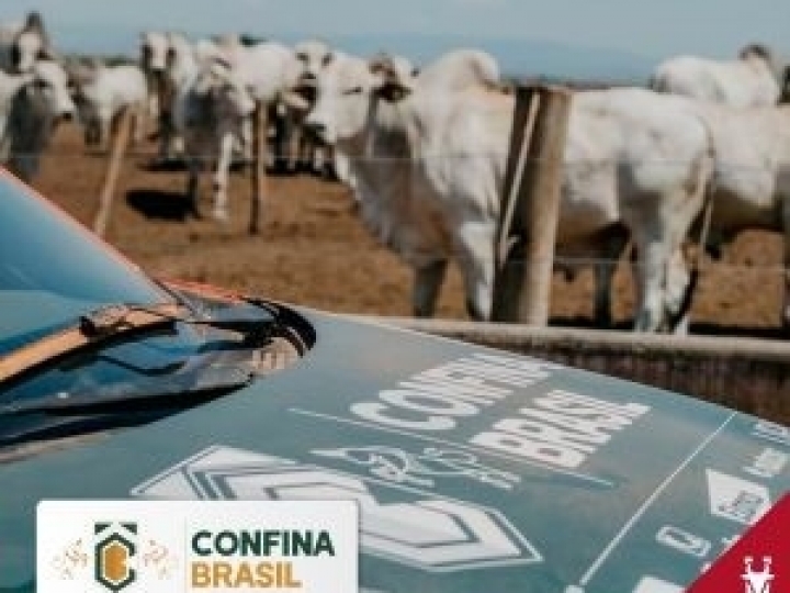 Confinamentos brasileiros investem mais em tecnologias para gestão da fazenda, aponta Beckhauser