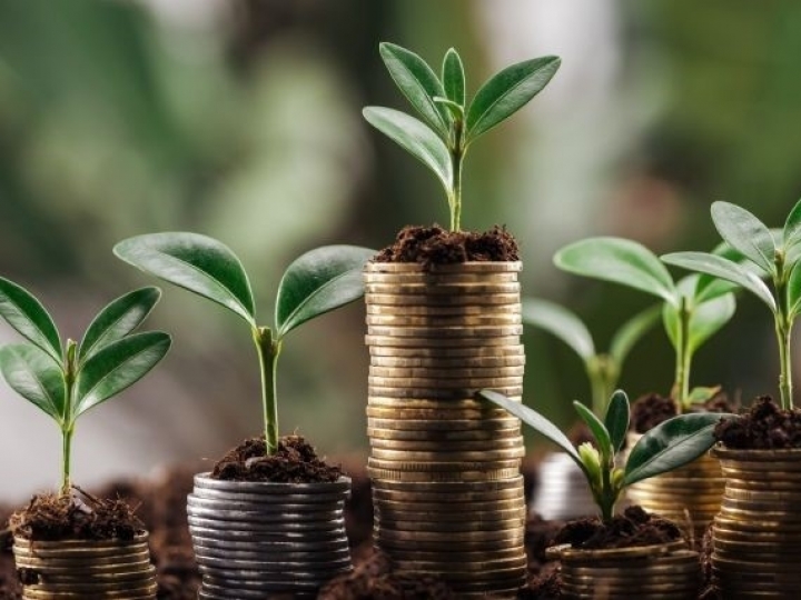 Secretaria de Agricultura de SP, por meio do FEAP, renegocia empréstimos e financiamentos com juros mais baixo para os produtores rurais 