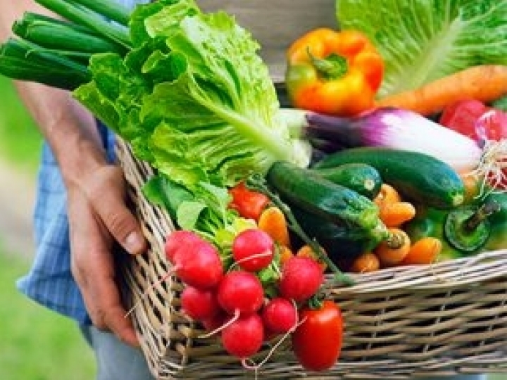 Nova edição do curso de tecnologia pós-colheita em frutas e hortaliças da Embrapa é virtual e gratuita