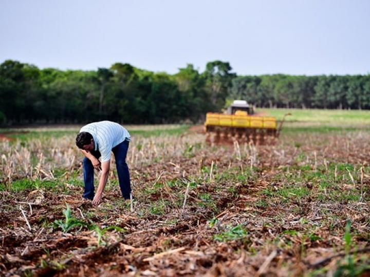 Área de soja convencional deve crescer na safra 2022/23 em Mato Grosso