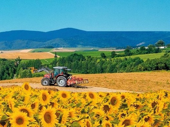 Contratações do Plano Safra 2021/2022 chegam a R$ 131,4 bilhões em cinco meses