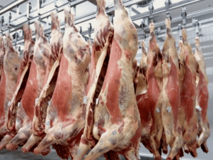 BNDES fortalece controles sobre a atividade de abate de bovinos