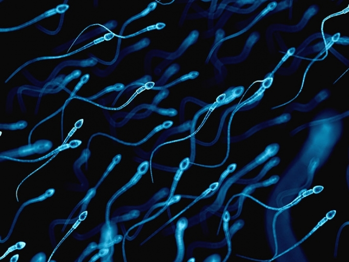 Coleta de sêmen deve aumentar ainda mais em 2022