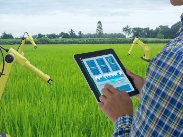 Investimento em pesquisa e busca de novas tecnologias estão entre os focos da agricultura digital
