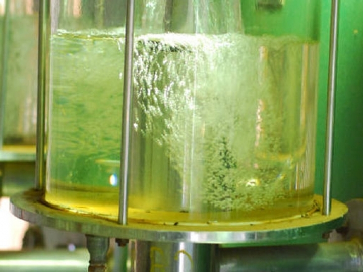 FAPESP e Stellantis ajudam a orientar nas decisões sobre etanol 