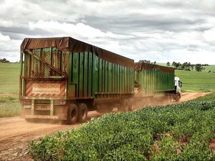 Usinas devem transportar cana-de-açúcar segundo peso máximo exigido por lei