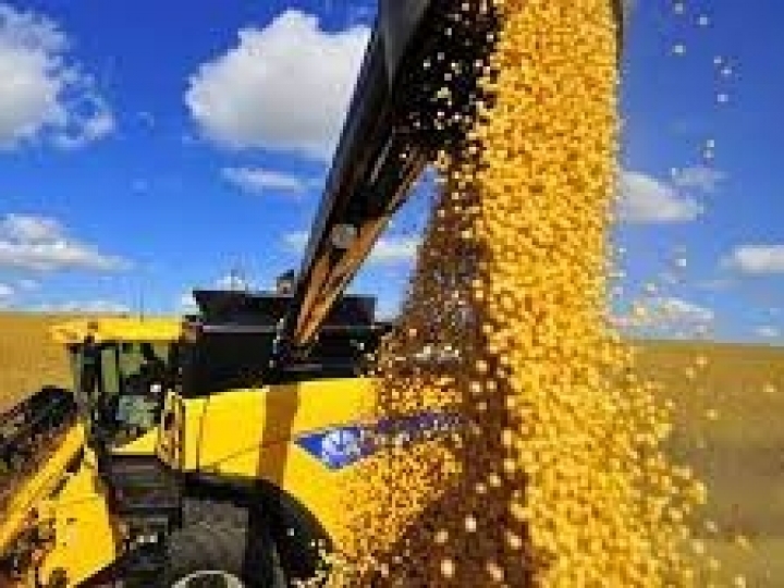 Processamento de soja cai quase 2% no ano, mas exportações batem recorde histórico 