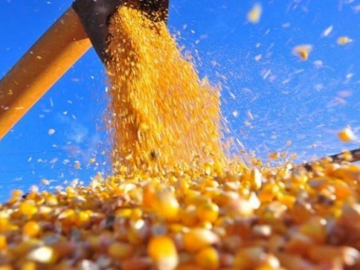 Porto de Barcarena movimenta cerca 20% do milho exportado