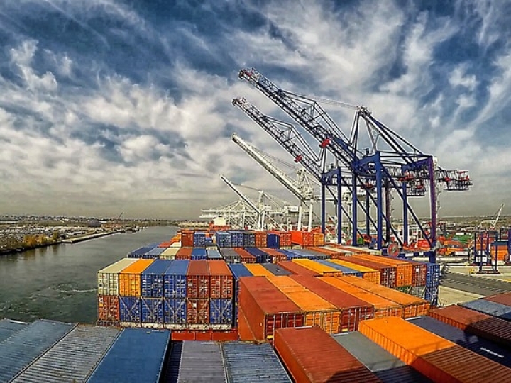 Brasil exporta 78% mais peixes em 2021 do que no ano anterior