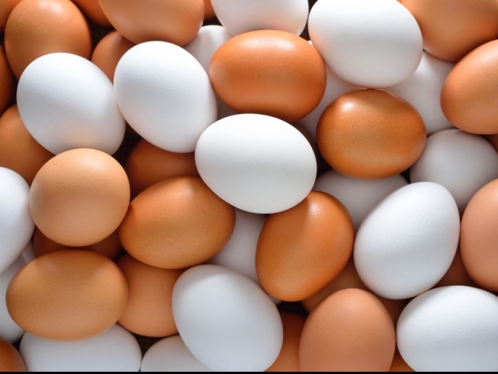 Exportações de ovos crescem 81,5% em 2021