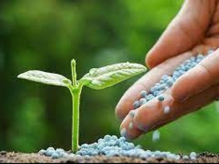 Índice de Poder de Compra de Fertilizantes de dezembro aponta para alta no mercado