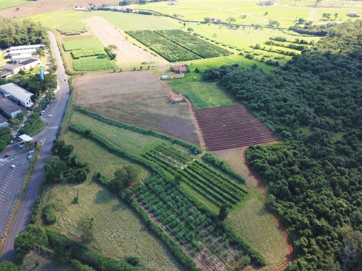 Embrapa abre oportunidade para empresas parceiras em projeto de inovação para agricultura digital e sustentabilidade