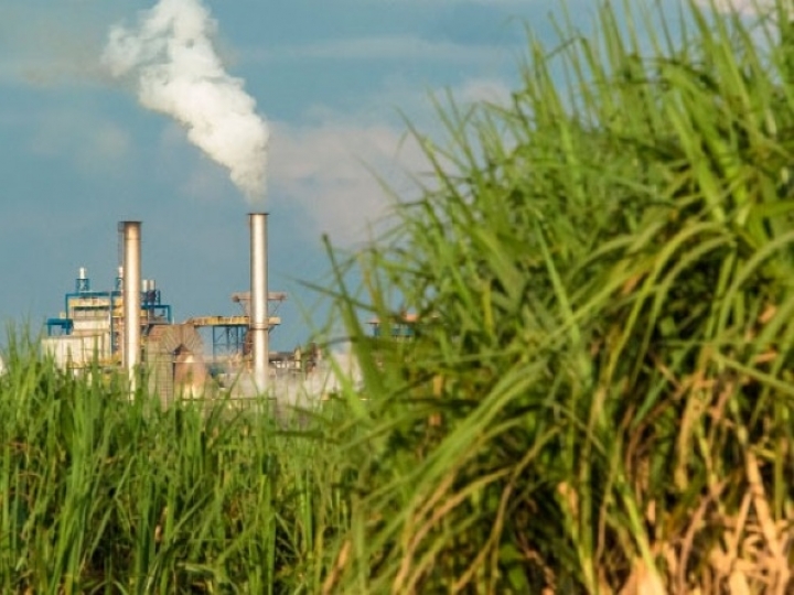 Safra de cana no Norte e Nordeste  mantém alta na produção de anidro