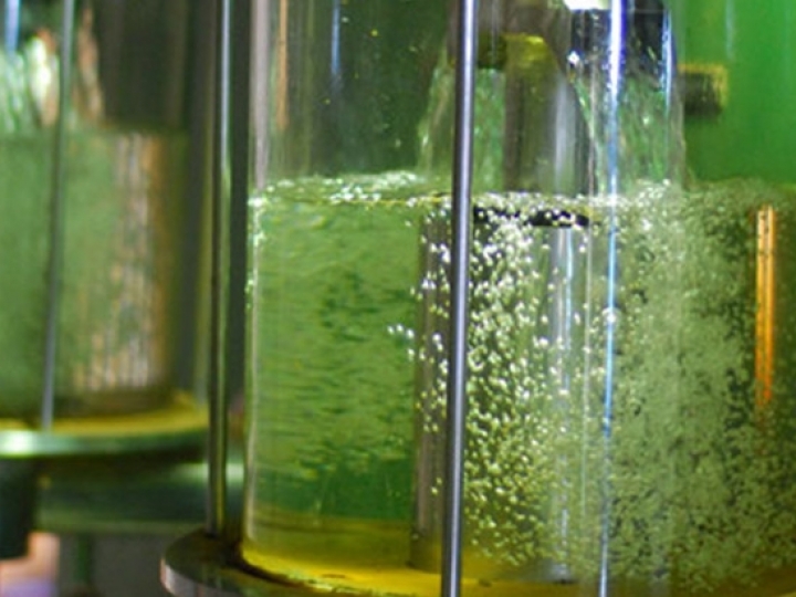 BP Bunge Bioenergia obtêm certificação internacional que atesta sustentabilidade na produção de etanol