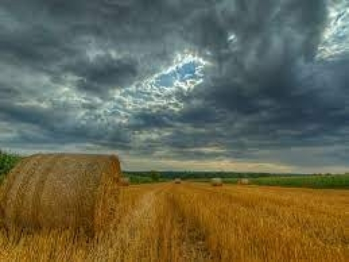 Instabilidade climática marcou o campo em 2021