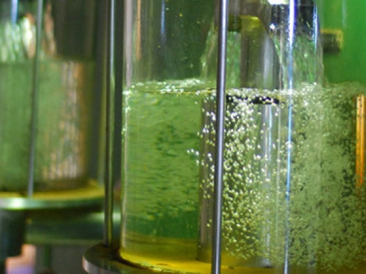 Etanol é uma das soluções para um mundo mais sustentável, diz Pablo Di Si