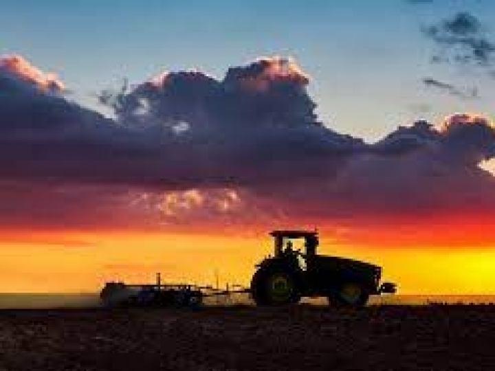 Apesar da crise global de componentes eletrônicos, indústria automobilística brasileira fecha 2021 com leve recuperação e projeta mais um ano de discreta melhora