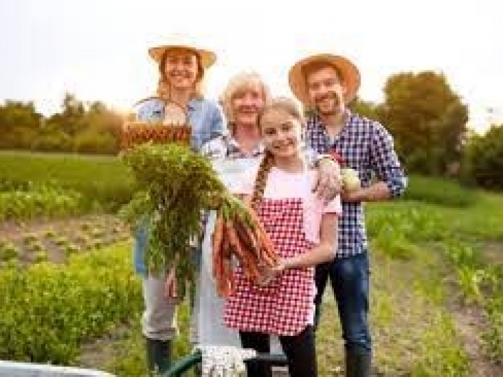 Mais de 57 mil agricultores familiares irão receber Garantia-Safra em fevereiro