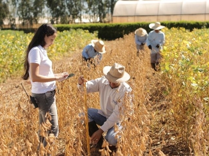 Agropecuária registra maior saldo de empregos desde 2011