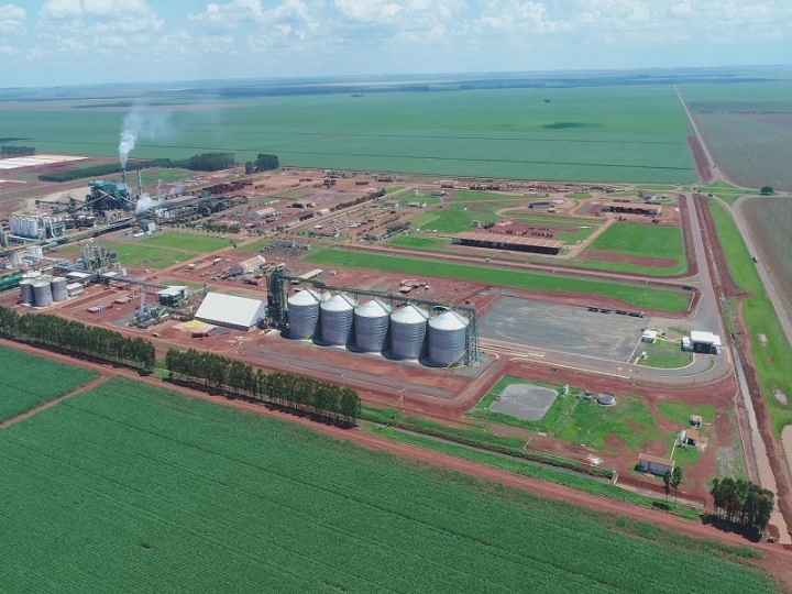 Por meio do Instituto Sanches Fernandes, CerradinhoBio e Neomille investem cerca de R$ 3,5 milhões em projetos sociais 