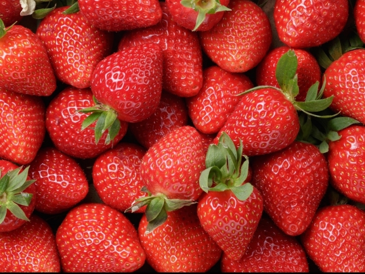 Ital e IAC propõem embalagem à base de papel para morangos