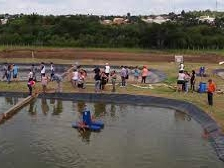Noroeste paulista se destaca na aquicultura nacional