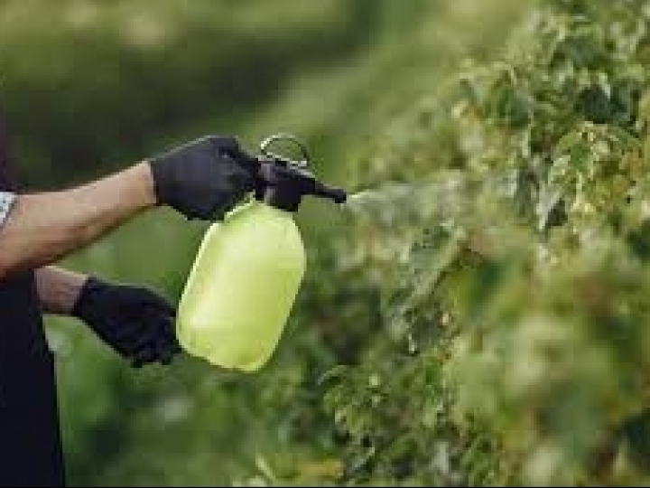 Como o fertilizante foliar ajuda na produtividade