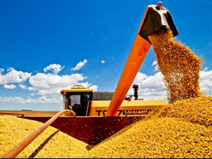Conab revela preços recordes do frete na colheita de soja deste ano
