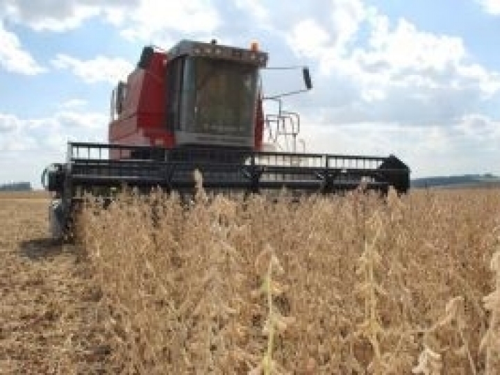 Uso intensivo de máquinas traz riscos durante a colheita