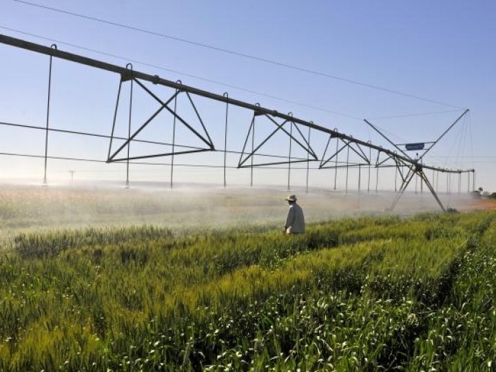 A importância da gestão de recursos hídricos e da agricultura irrigada no nexo água e alimento