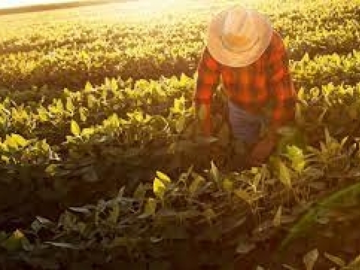 São Paulo foi responsável por 55% das admissões com carteira assinada no agro brasileiro em 2021