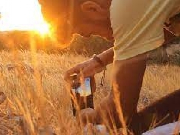 Brasil tem potencial de se tornar o celeiro de tecnologias para o agronegócio no mundo