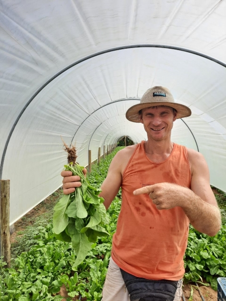 Produtor de rúcula Veloster Giovane Vicente Guesser, de Antônio Carlos SC Agristar