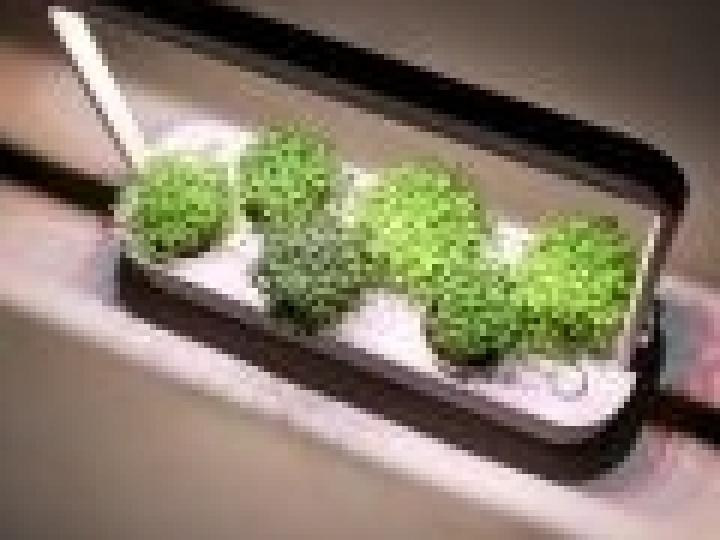 Horta inteligente proporciona colheita da própria salada em uma semana