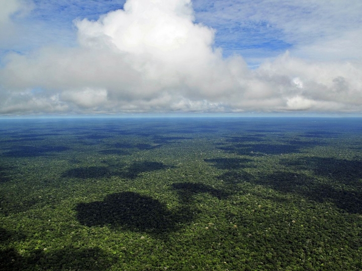 Amazônia terá sistema abrangente de análise de emissões de gases de efeito estufa