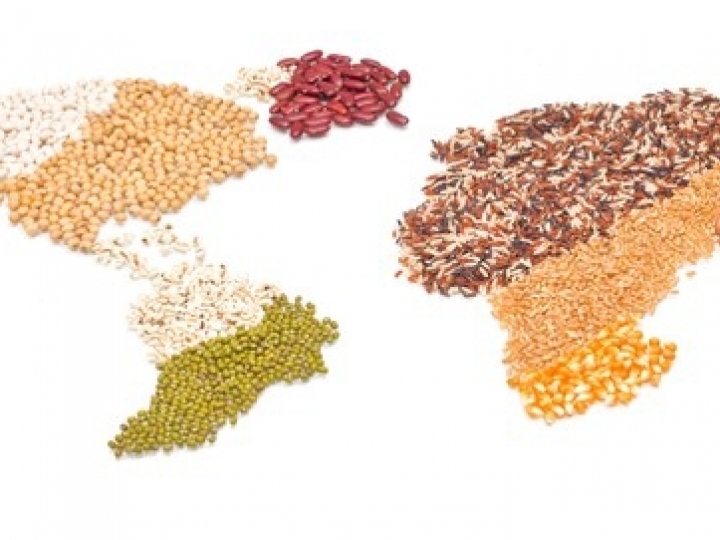 Produtos da agropecuária brasileira chegam a mais de 200 novos mercados mundiais nos últimos três anos