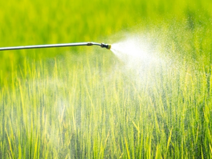 Em época de aplicação de defensivos, saiba quais etapas precisam ser seguidas para maior produtividade no campo