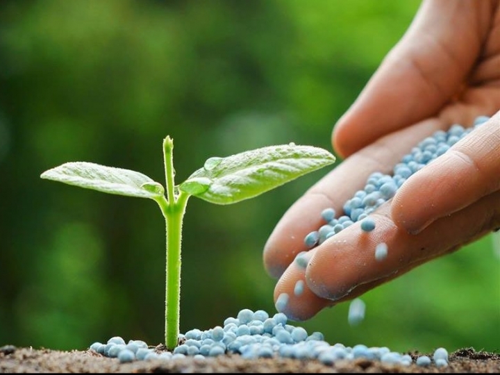 Brasil atinge recorde em entrega de fertilizantes em 2021 