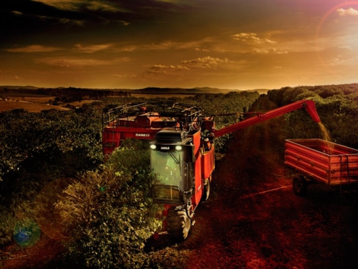 Estiagem e geadas afetam produção brasileira de café