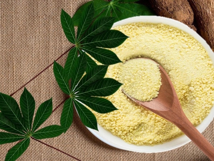 Farinha de folha de mandioca biofortificada com 50 vezes mais ferro vegetal que a tradicional: este é o resultado de pesquisa do IAC e Unicamp