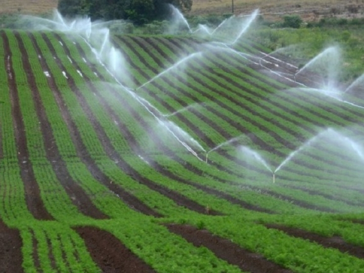 Executivos americanos apontam Brasil como um dos maiores mercados no mundial de irrigação