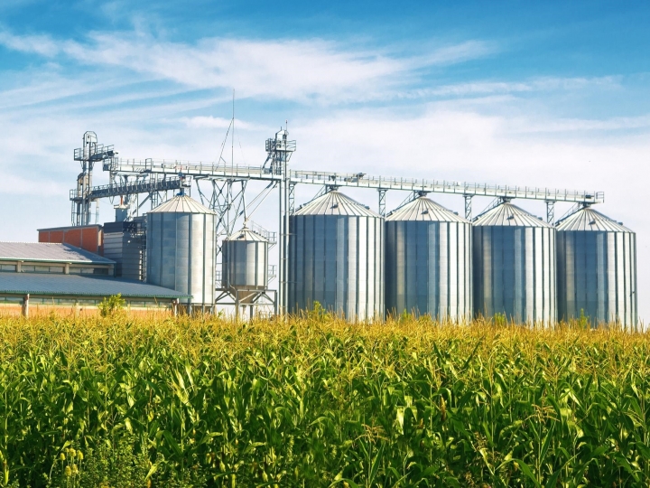 Tecnologia nacional elimina desperdícios na secagem de grãos