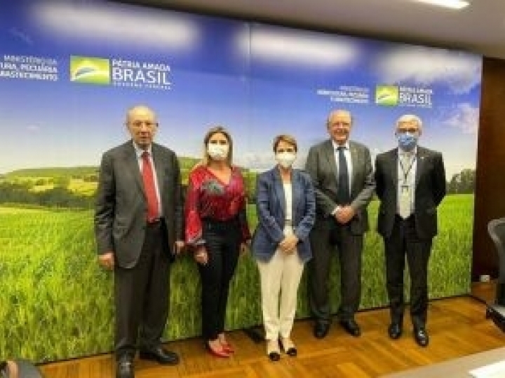 Conflito entre Rússia e Ucrânia reforça a necessidade de ampliar a produção de trigo brasileiro