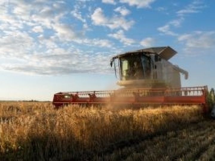 Os impactos da Selic na vida do produtor e do consumidor