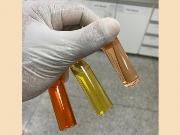 Processo sustentável foi descrito por pesquisadores de universidades brasileiras e portuguesas na revista Green Chemistry. Material poderá dar origem a embalagens “inteligentes”, com propriedades antioxidantes e antimicrobianas (pigmentos naturais extraíd