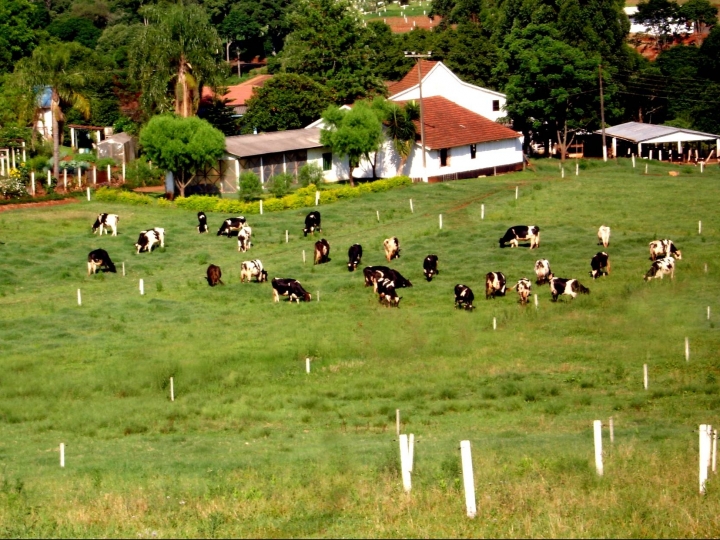 Declaração de Imposto de Renda: produtor rural, entenda como fazer 