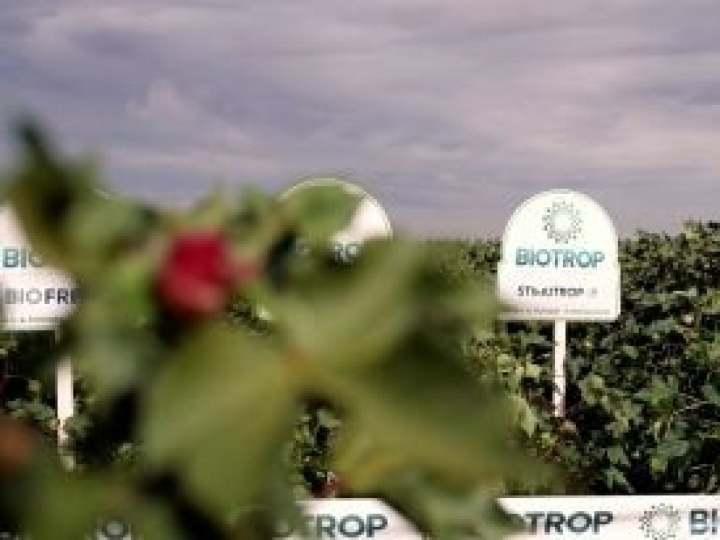 Brasileira de biológicos planeja registro de 58 novos produtos até 2025